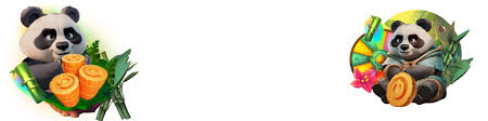 Spinanga Online Gambling Establishment Review
